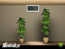 Perfect Fit window Privat 1x1 by mutske - Click to view and download separately!
