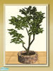 Magnolia Tree 02 by shakeshaft - Click to view and download separately!