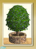 Egg Shrub 01 by shakeshaft - Click to view and download separately!