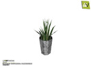 Bladjan Plant by ArtVitalex - Click to view and download separately!