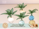 Coastal Plants 2 Dieffenbachia - Click to view and download separately!