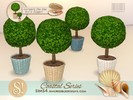 Coastal Plants 3 Topiary - Click to view and download separately!