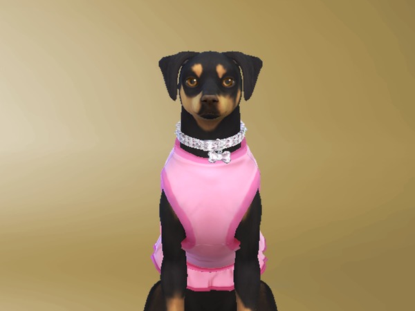 Sims 4 — Necklace diamond of dog small by Celeste25 — Necklace diamond of dog small. Just that color. I hope you like